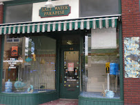 Salt Water Paradise - Photo 2 - Car repair in Tonawanda, NY, Buffalo