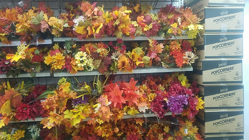 Dollar Store «Dollar Tree», reviews and photos, 3909 Queens Blvd, Sunnyside, NY 11104, USA