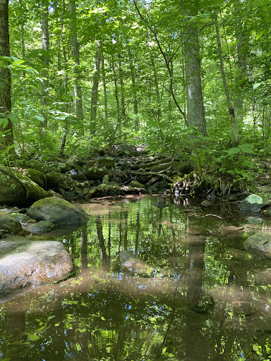 Tourist Attraction «Black Ledge Falls», reviews and photos, Hebron Ave, Glastonbury, CT 06033, USA