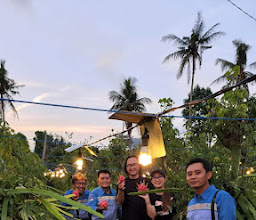 Kebun Buah Naga Organik photo