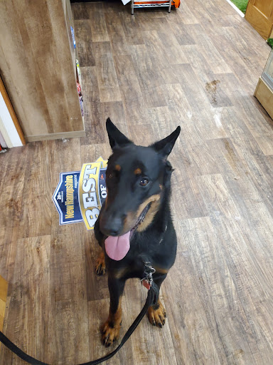 Pet Supply Store «Pet Supply Outlet», reviews and photos, 150 Spaulding Tpke, Portsmouth, NH 03801, USA