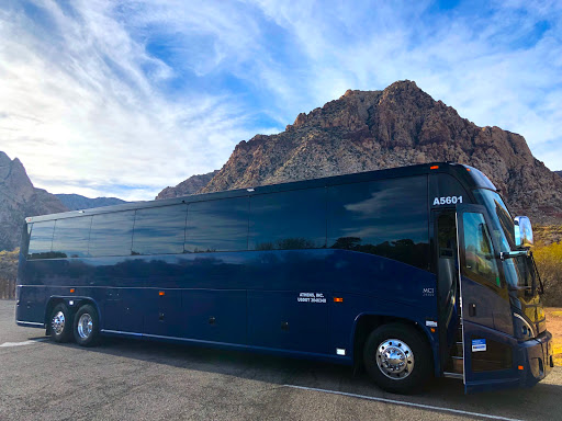 Bus Tour Las Vegas