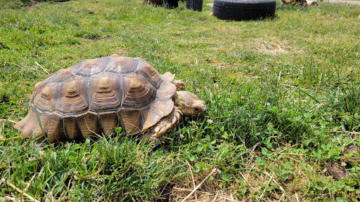 Social Services Organization «Lambs Farm», reviews and photos, 14245 W Rockland Rd, Libertyville, IL 60048, USA