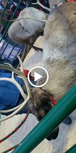 Department Store «Coastal Farm & Ranch», reviews and photos, 2112 S 1st St, Yakima, WA 98903, USA