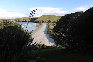 Otago Peninsula image