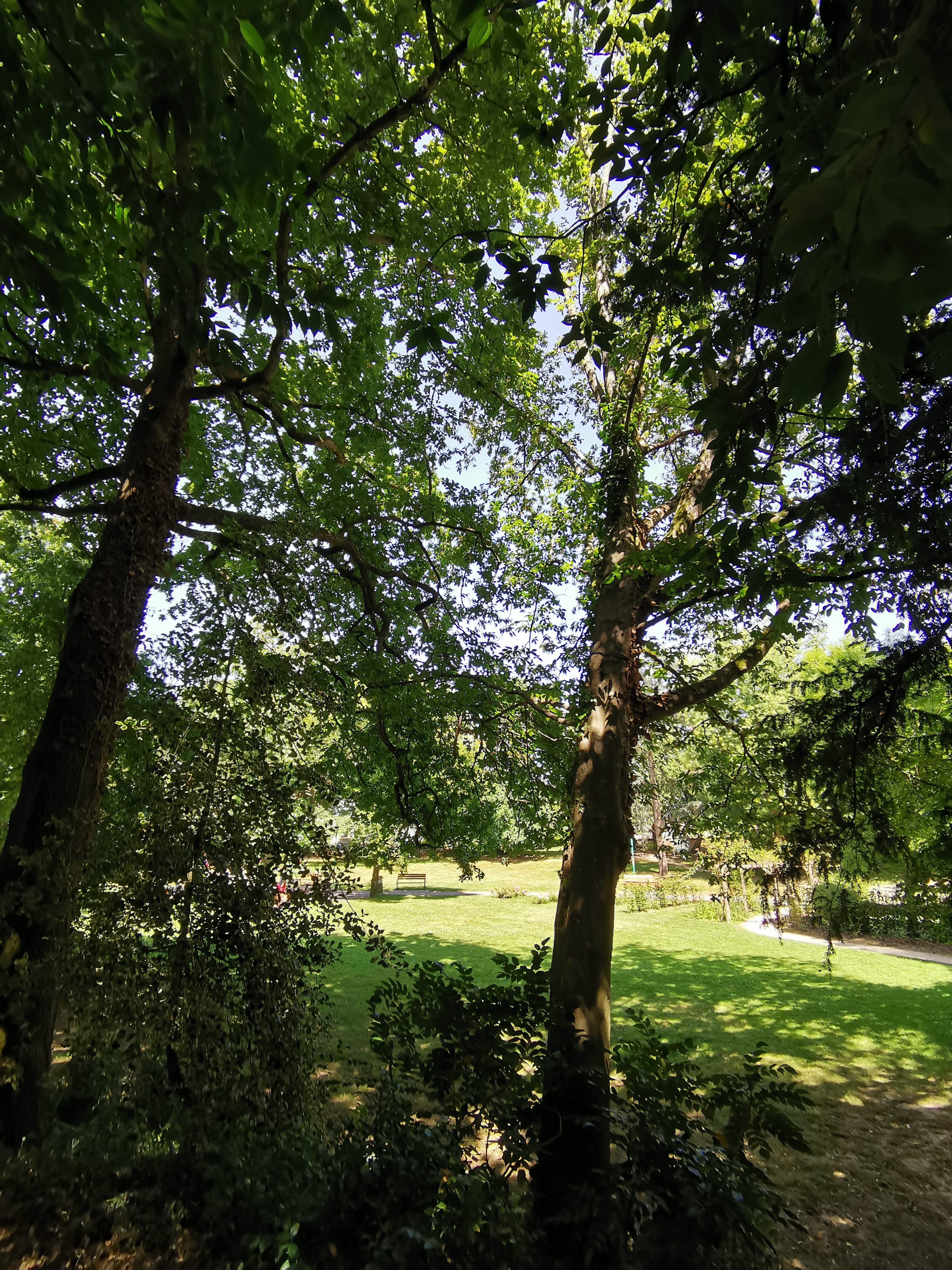 Photo n° 7 de l'avis de Ced.t fait le 20/07/2020 à 05:56