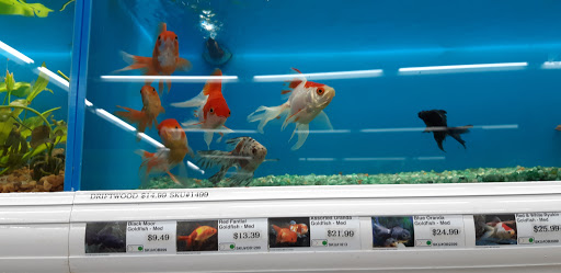 Pet Supply Store «Pet Supermarket», reviews and photos, 3806 S Dale Mabry Hwy, Tampa, FL 33629, USA