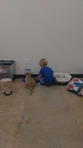 Pet Supply Store «Pet Supplies Plus», reviews and photos, 345 Willow Bend, Crystal, MN 55428, USA