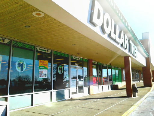 Dollar Store «Dollar Tree», reviews and photos, 6937 Alexandria Pike, Alexandria, KY 41001, USA
