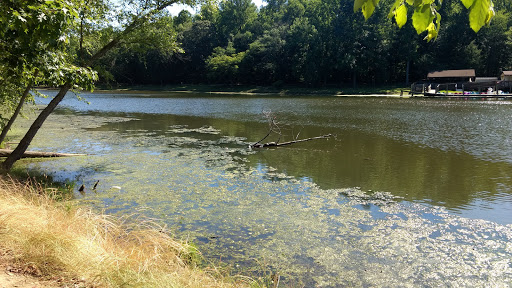 Park «Louise F Cosca Regional Park», reviews and photos, 11000 Thrift Rd, Clinton, MD 20735, USA