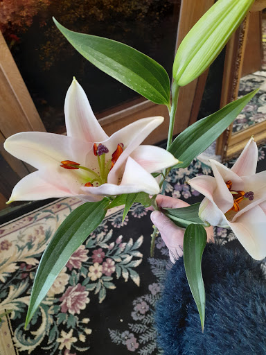 Florist «Woolly Petals», reviews and photos, 249 Flocktown Rd, Long Valley, NJ 07853, USA