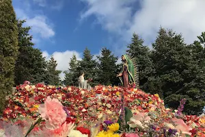 Shrine of Our Lady of Guadalupe image