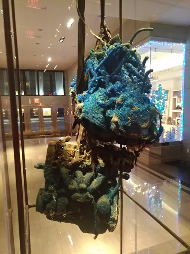 Coffee Shop «Weekend Coffee», reviews and photos, 1511 Commerce St, Dallas, TX 75201, USA