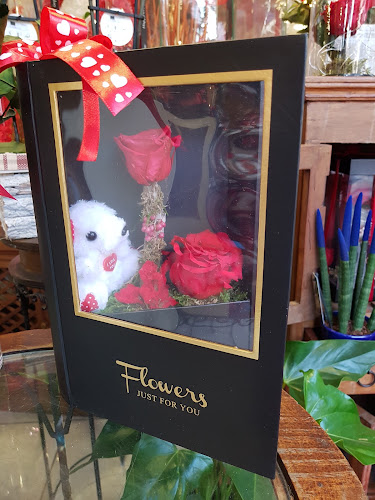 ΜΑΥΡΑΚΗ Ανοιχτές ώρες