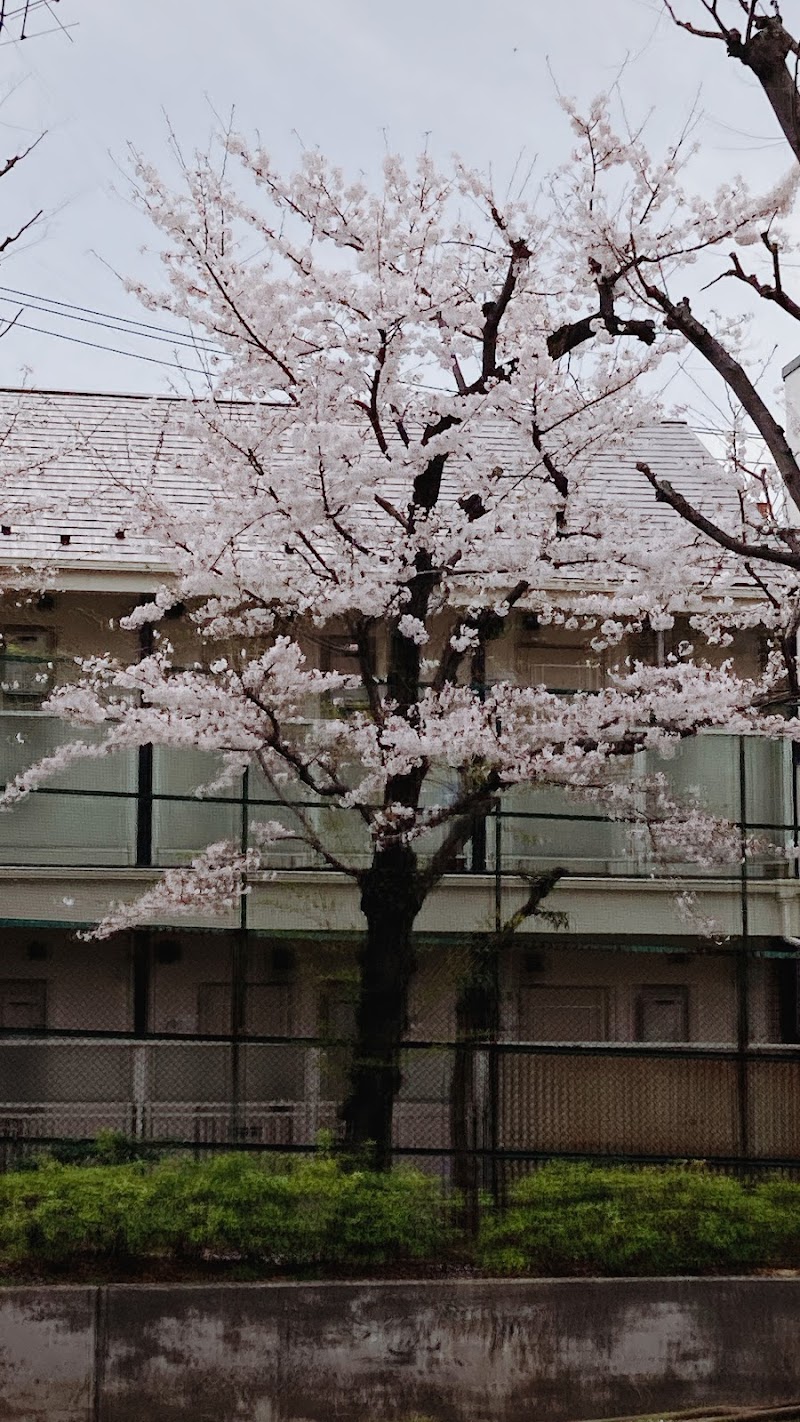 千歳烏山プレゼント整体院