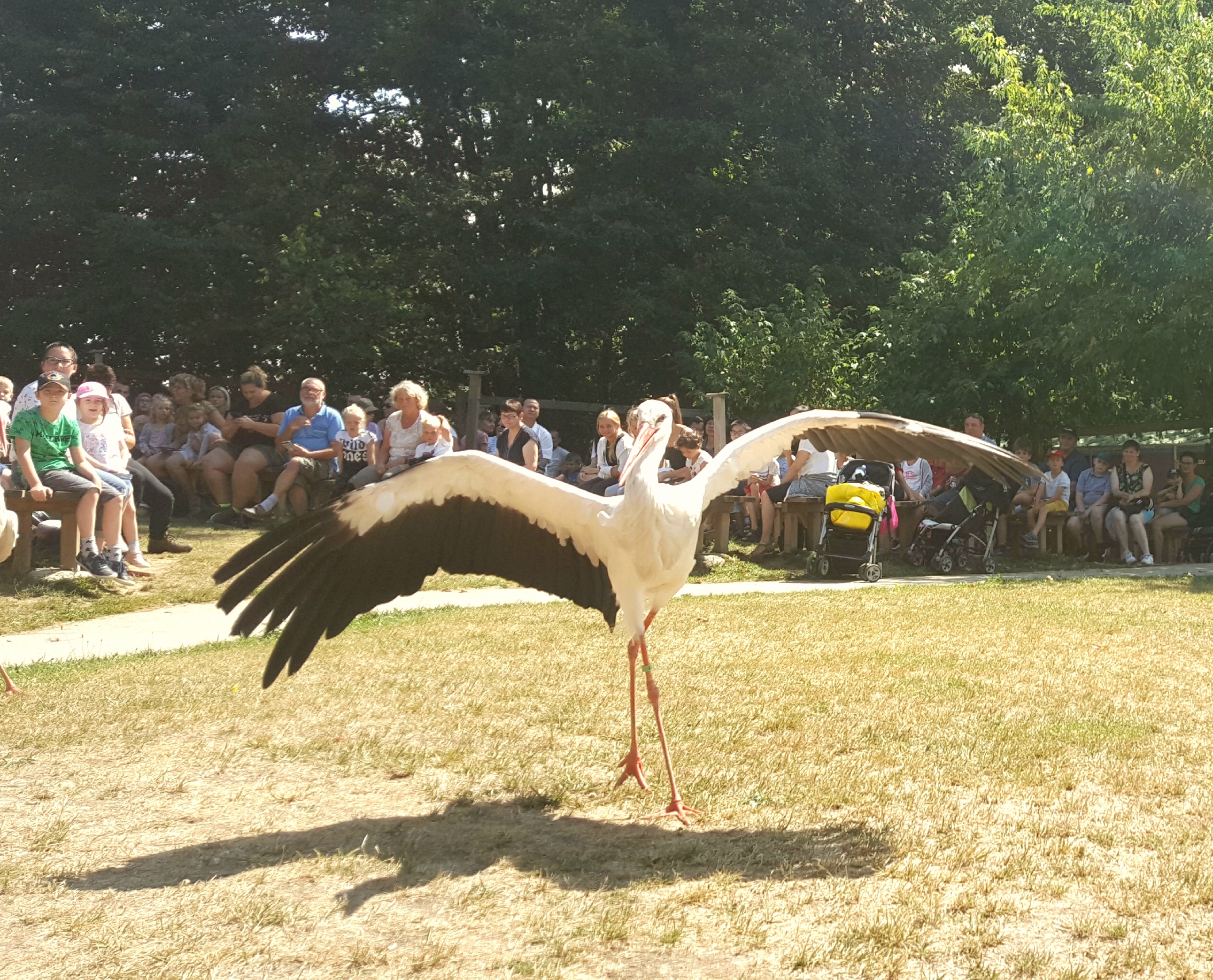 Photo n° 4 de l'avis de Dany.e fait le 09/08/2019 à 18:02