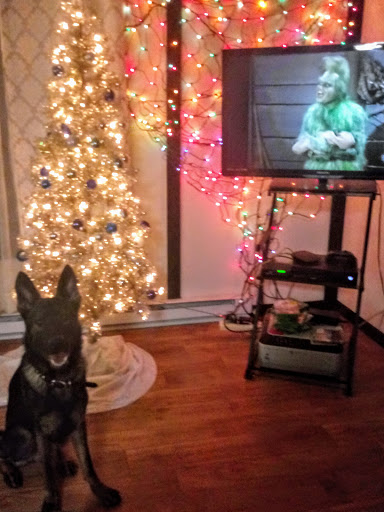 Pet Supply Store «PetSmart», reviews and photos, 2102 W Union Blvd #22A, Bethlehem, PA 18018, USA