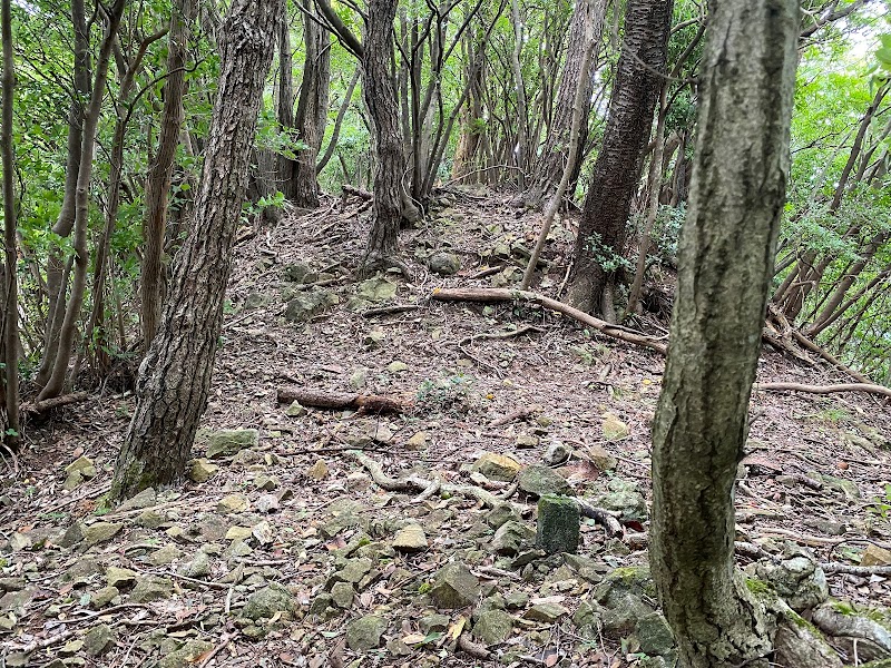 三津城出城跡