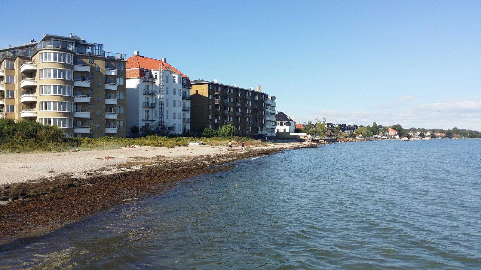Foto af Hellerup Strand med medium niveau af renlighed