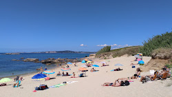 Area Gorda beach'in fotoğrafı ve yerleşim