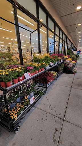 Grocery Store «Weis Markets», reviews and photos, 315 US-206, Hillsborough Township, NJ 08844, USA