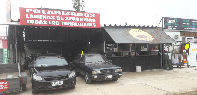 Jorge Tejería Polarizados-Automotores