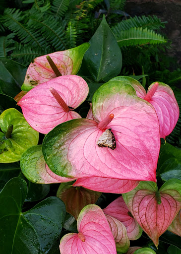 Amusement Center «OdySea in the Desert», reviews and photos, 9500 East Vía de Ventura, Scottsdale, AZ 85256, USA