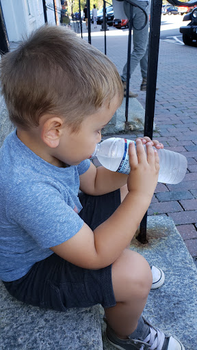 Toy Store «The Silly Sprout», reviews and photos, 469 Bantam Rd, Litchfield, CT 06759, USA