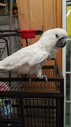 Pet Store «Pet Connection», reviews and photos, 1441 W State St, Alliance, OH 44601, USA