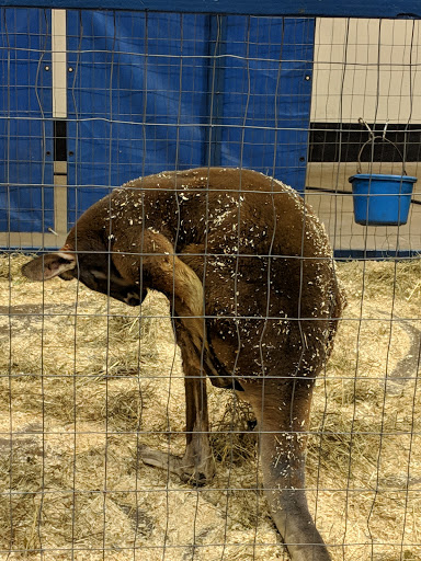 Event Venue «XL Center», reviews and photos, 1 Civic Center Plaza, Hartford, CT 06103, USA