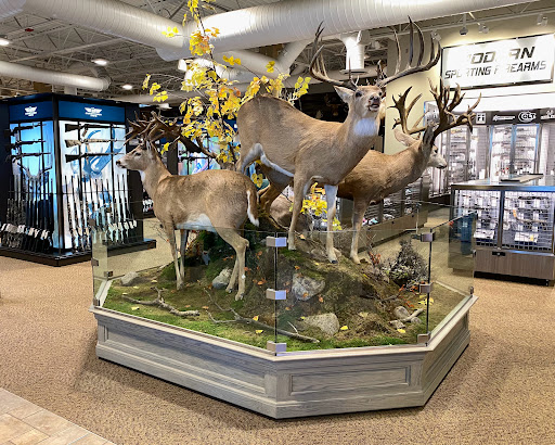 Sporting Goods Store «SCHEELS», reviews and photos, 1551 45th Street SW, Fargo, ND 58103, USA