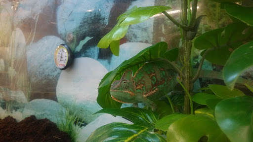 Pet Supply Store «Petco Animal Supplies», reviews and photos, 1753 St Lucie W Blvd, Port St Lucie, FL 34986, USA