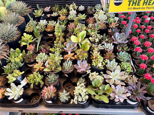 Home Improvement Store «The Home Depot», reviews and photos, 11600 Sherman Way, North Hollywood, CA 91605, USA