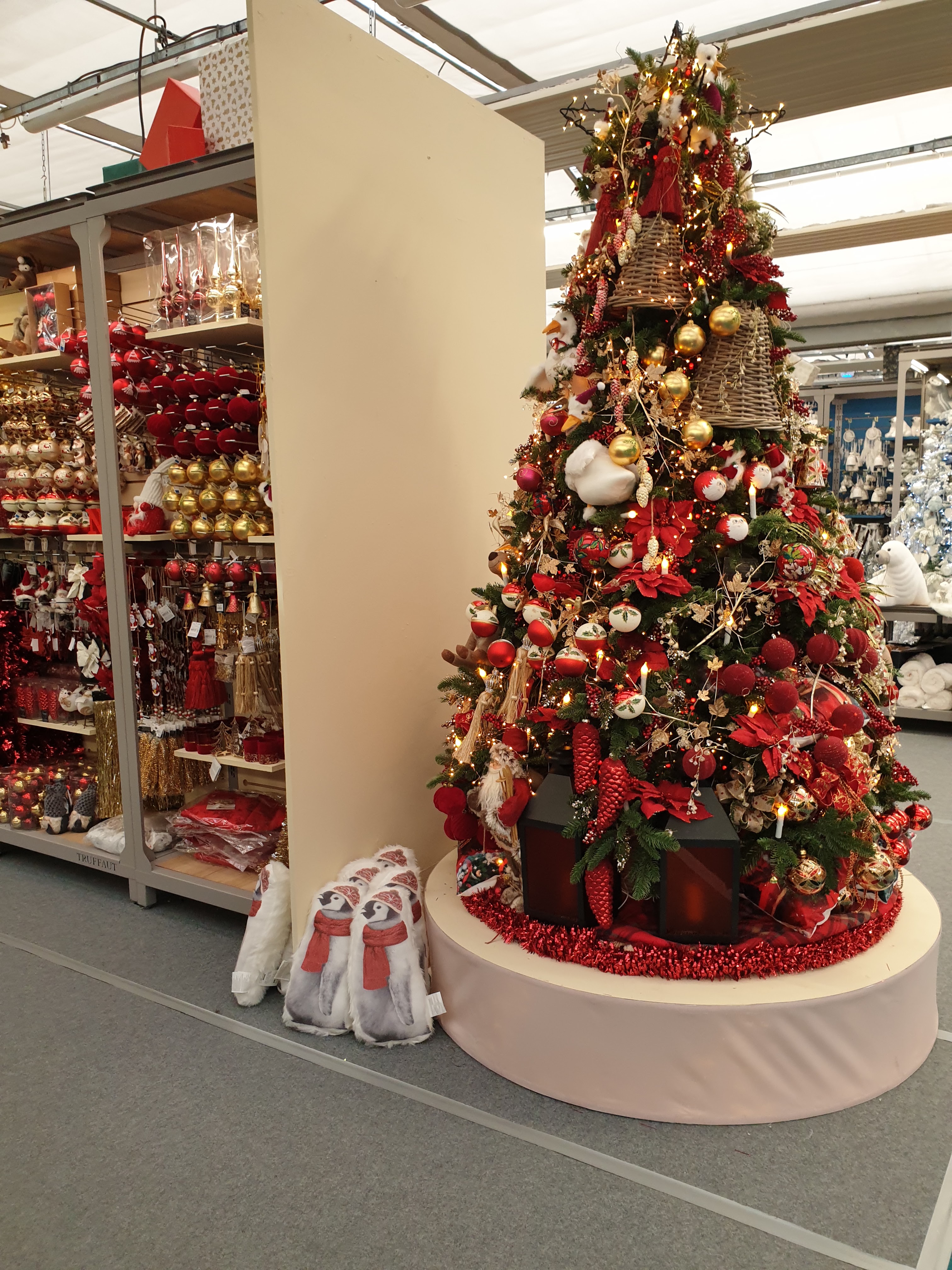 Photo n° 10 de l'avis de Lolita.. fait le 09/01/2020 à 13:37