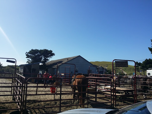 Horse Boarding Stable «Green Acres Beach & Trail Rides», reviews and photos, 5985 Pacific Ave, Cloverdale, OR 97112, USA