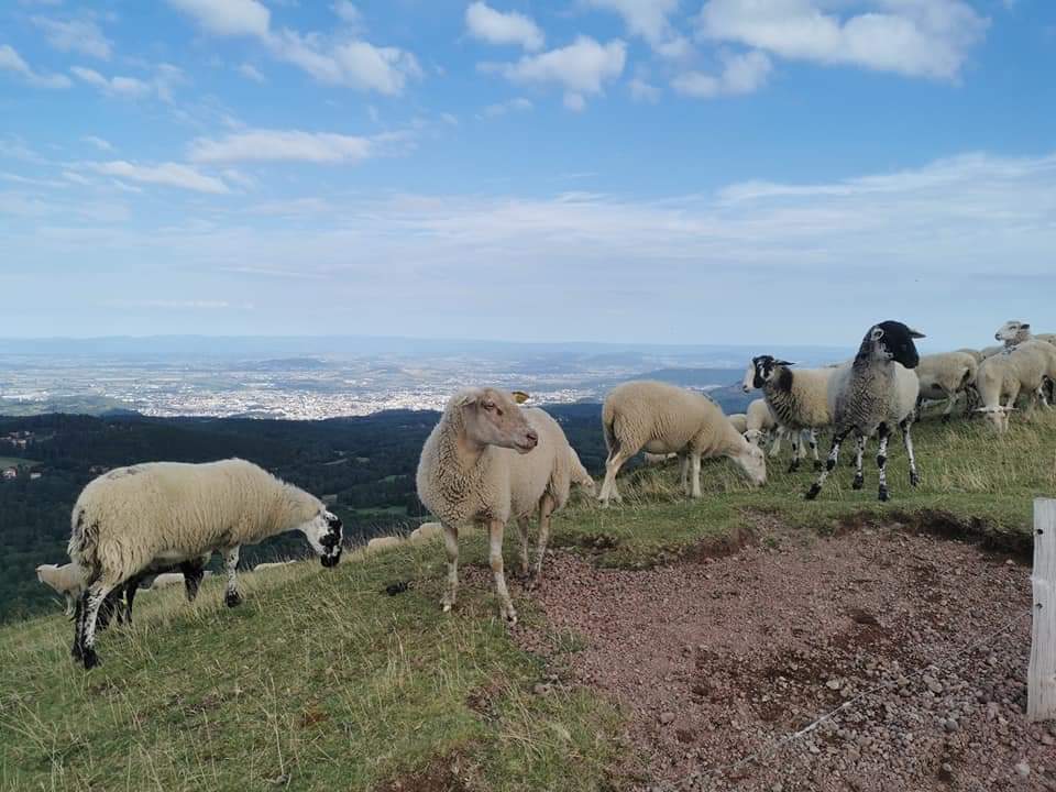 Photo n° 2 de l'avis de christine.A fait le 20/08/2021 à 15:47
