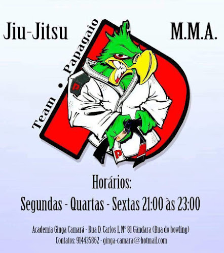 Avaliações doTeam Papagaio escola Brazilian Jiu Jitsu e MMA em Leiria - Academia