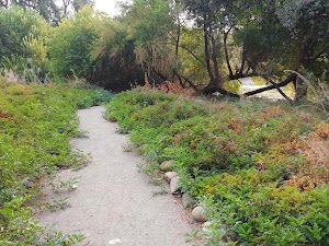 North Riverside Access Park - photo 5