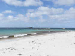 Mount William Beach'in fotoğrafı doğal alan içinde bulunmaktadır
