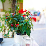 Photo n°21 de l'avis de Ulrich.a fait le 23/07/2019 à 18:07 sur le  Solaria à Pula