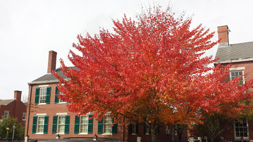 Coffee Shop «Starbucks», reviews and photos, 49 Main St, Freeport, ME 04032, USA