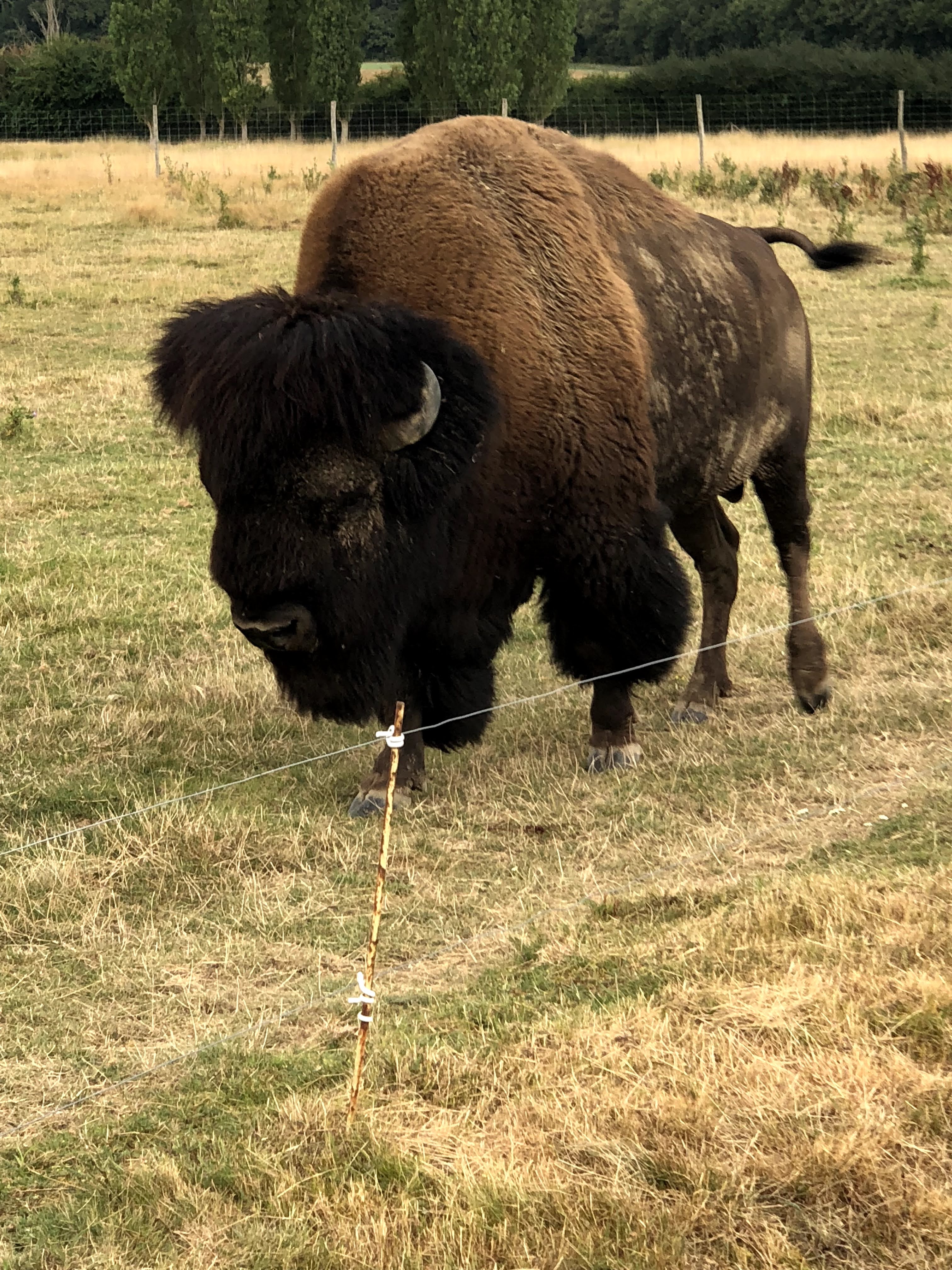 Photo n° 1 de l'avis de Julien.o fait le 27/07/2018 à 17:41
