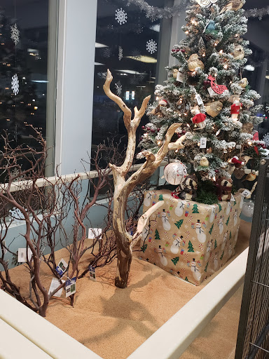 Pet Store «Claremont Pet & Aquarium Center», reviews and photos, 201 Washington St, Claremont, NH 03743, USA