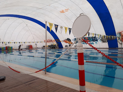 Kartal Yüzme Havuzu Teknik Yüzme Su Sporları Kulübü