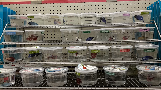 Pet Supply Store «Petco Animal Supplies», reviews and photos, 10190 W McDowell Rd, Avondale, AZ 85323, USA