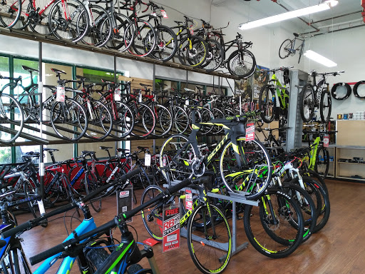 Bicycle Store «RB Cycles», reviews and photos, 11402 NW 41st St, Doral, FL 33178, USA