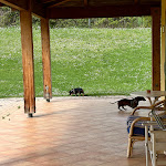 Photo n°2 de l'avis de Margherita.a fait le 17/04/2023 à 17:19 sur le  Tenuta Il Giogo à Monterado