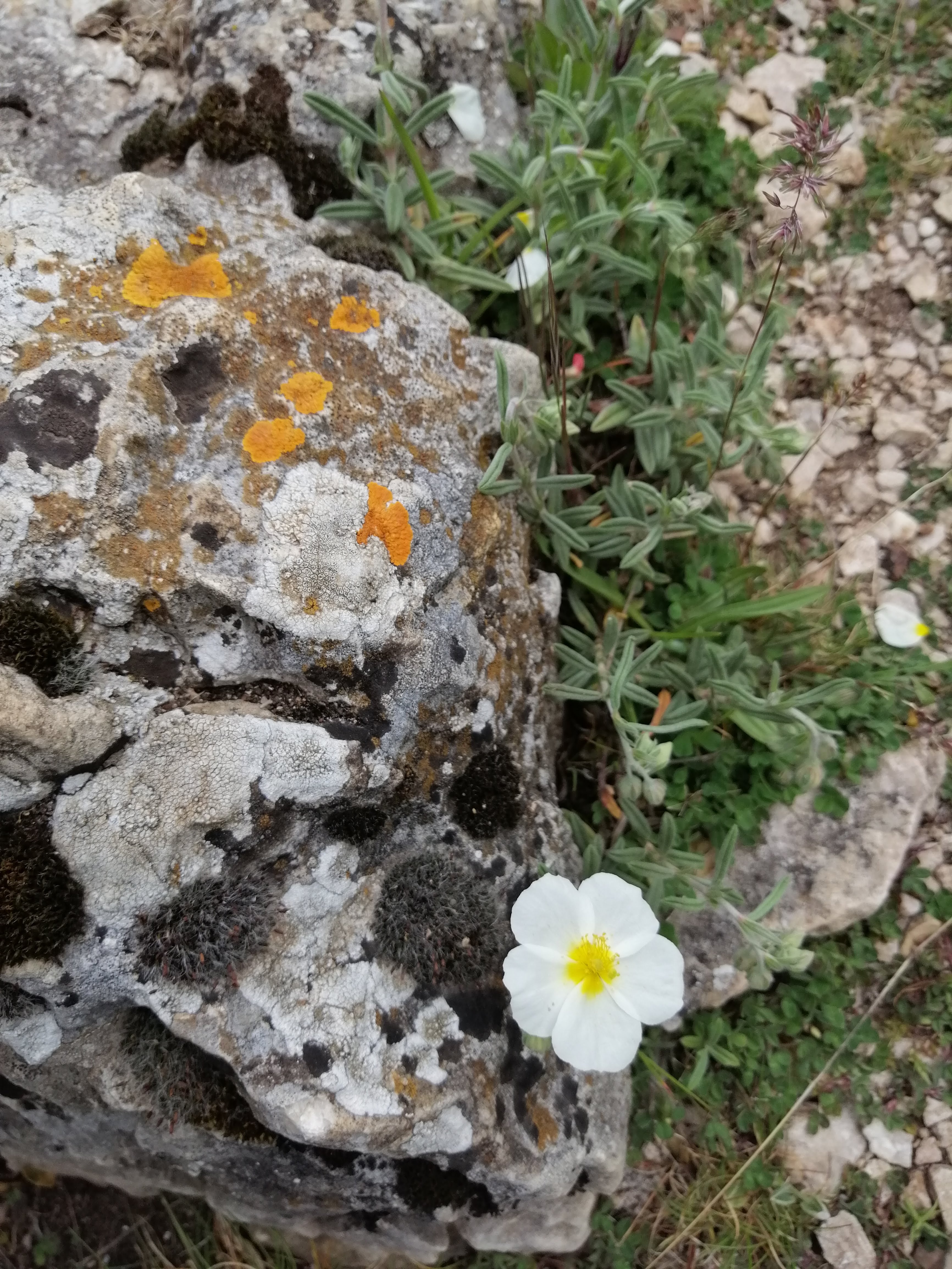 Photo n° 18 de l'avis de Claudine.i fait le 26/05/2019 à 07:58