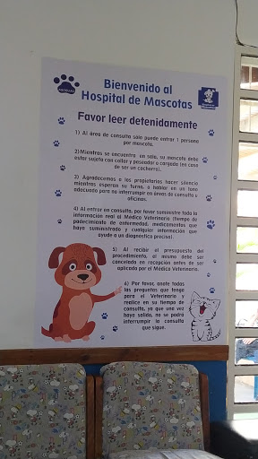 Hospital Privado De Mascotas