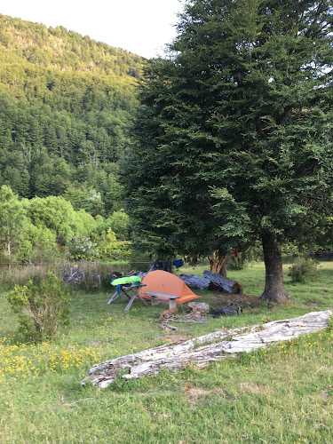 Horarios de Camping Sur Lago Vidal Gormaz
